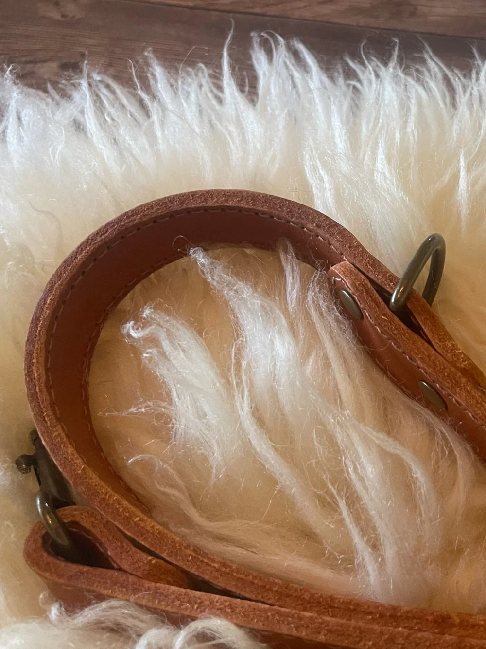 Parker Clay Premium Golden Leather Dog Leash - Coupler
